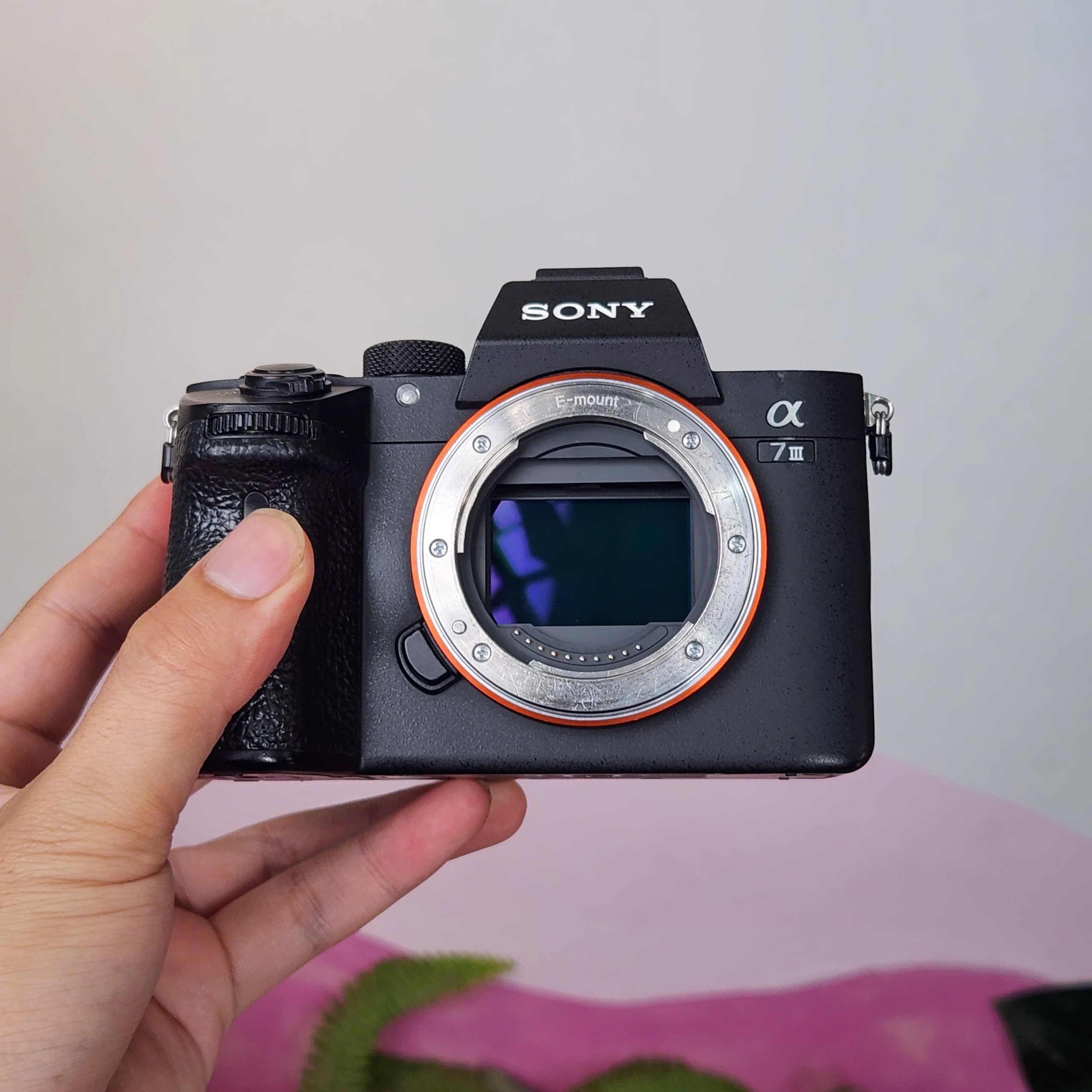 A7 Mark Sony A7 Review Sony Alpha A7 III Mirrorless Digital Camera