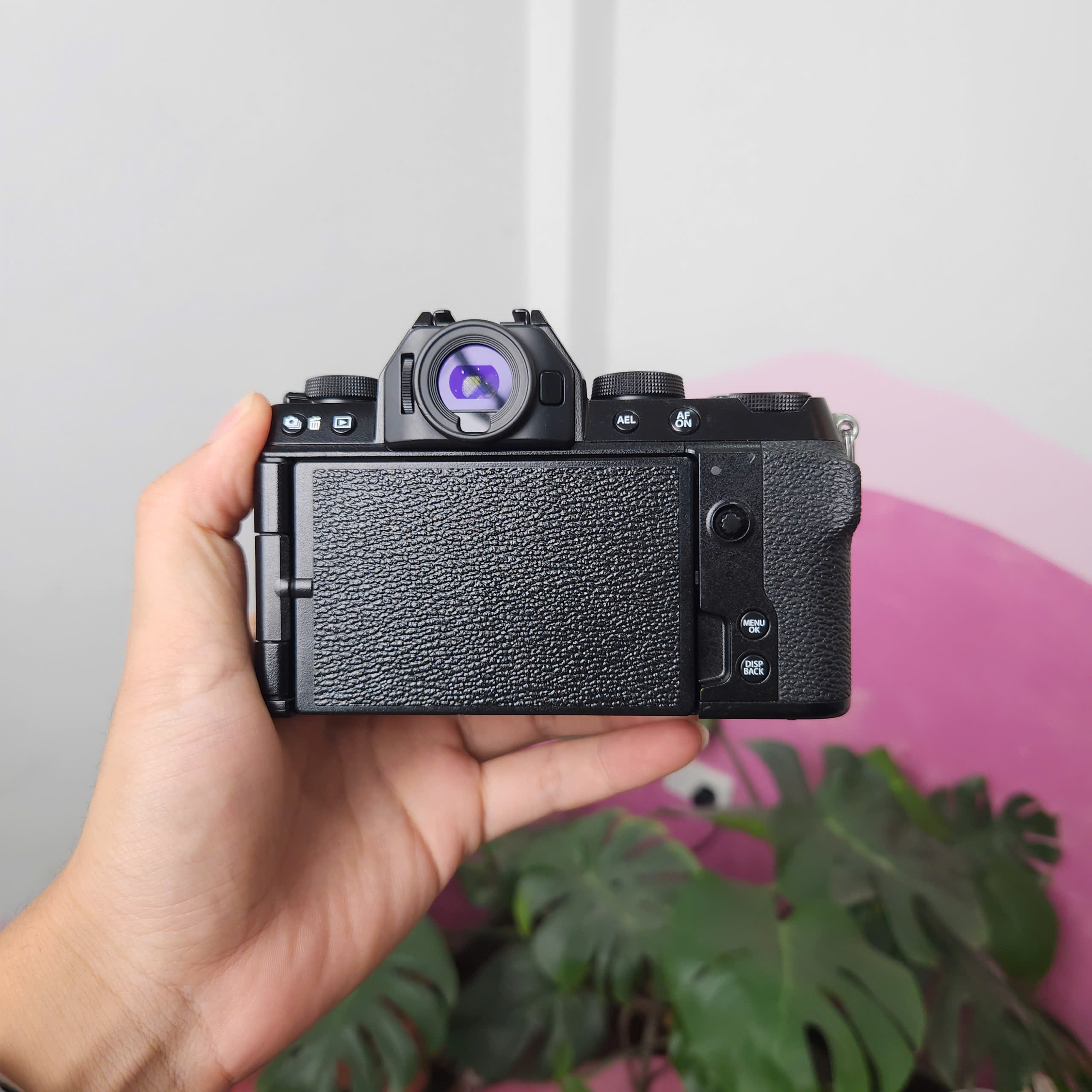 Fujifilm X-S10  (body)