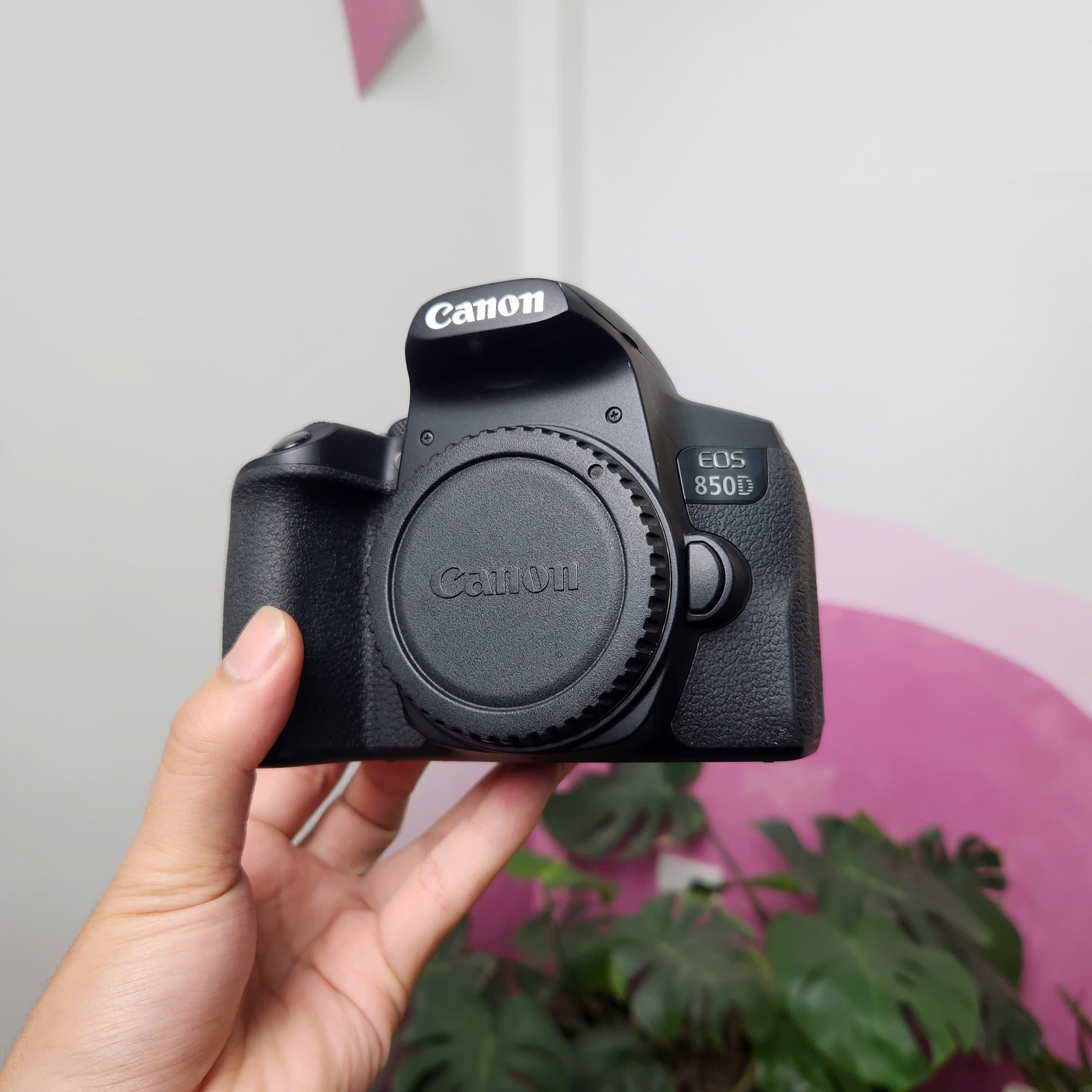 Canon EOS 850D (body)