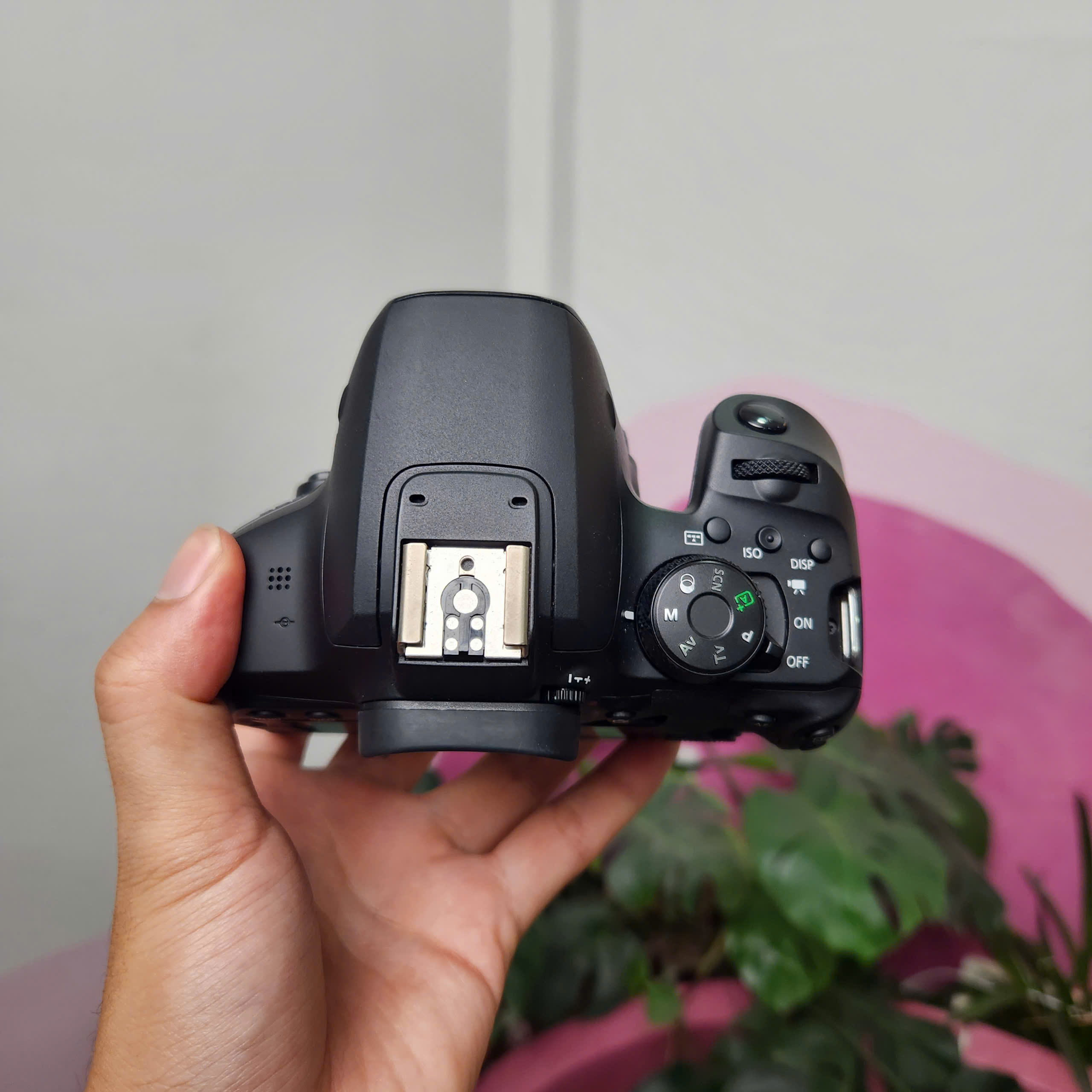 Canon EOS 850D (body)