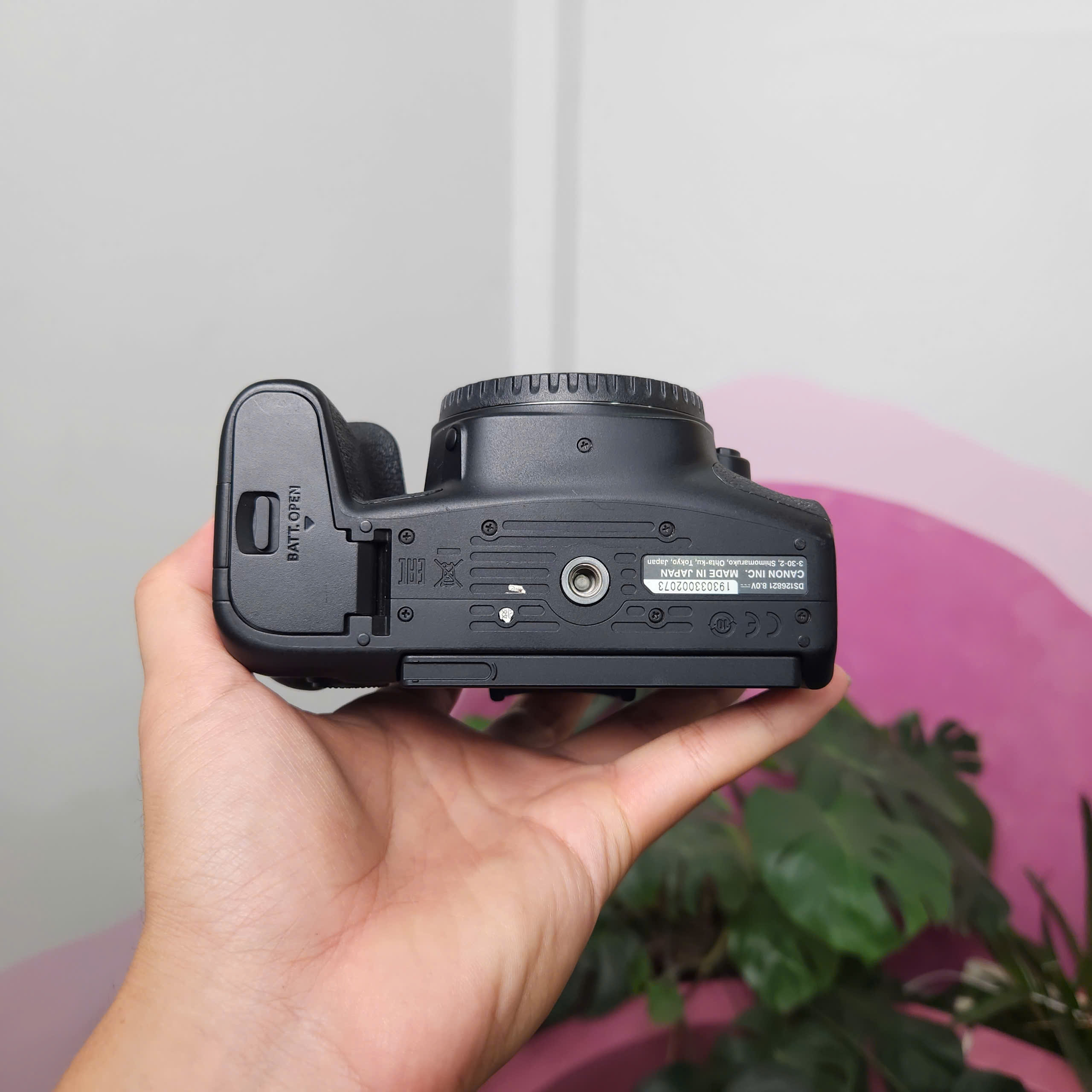 Canon EOS 850D (body)