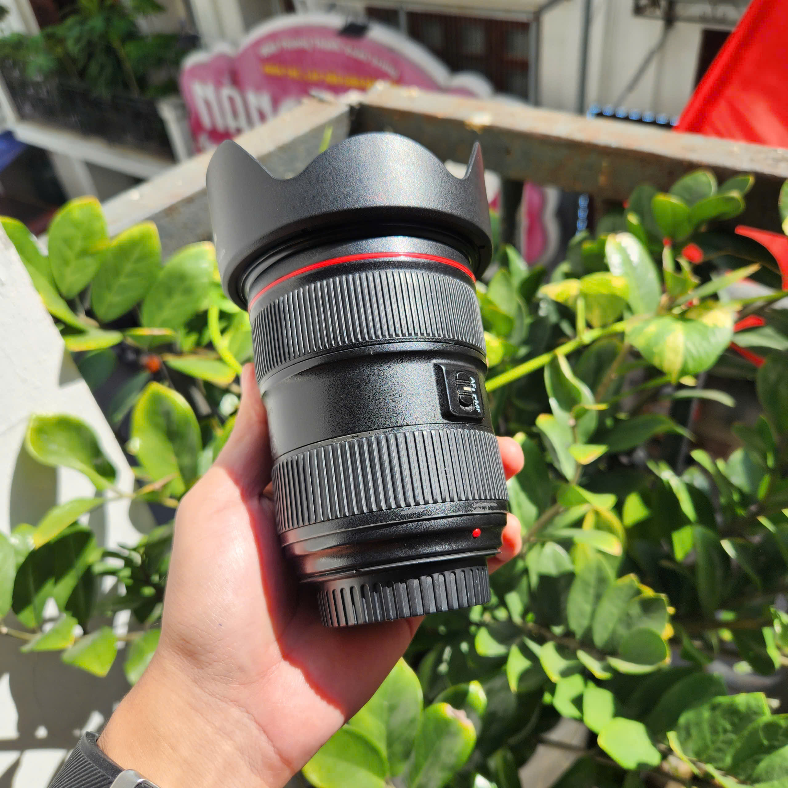 Canon EF 24-70mm f2.8L II USM (Used)