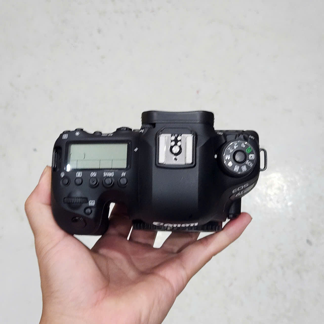 Canon 6D Mark II (body)