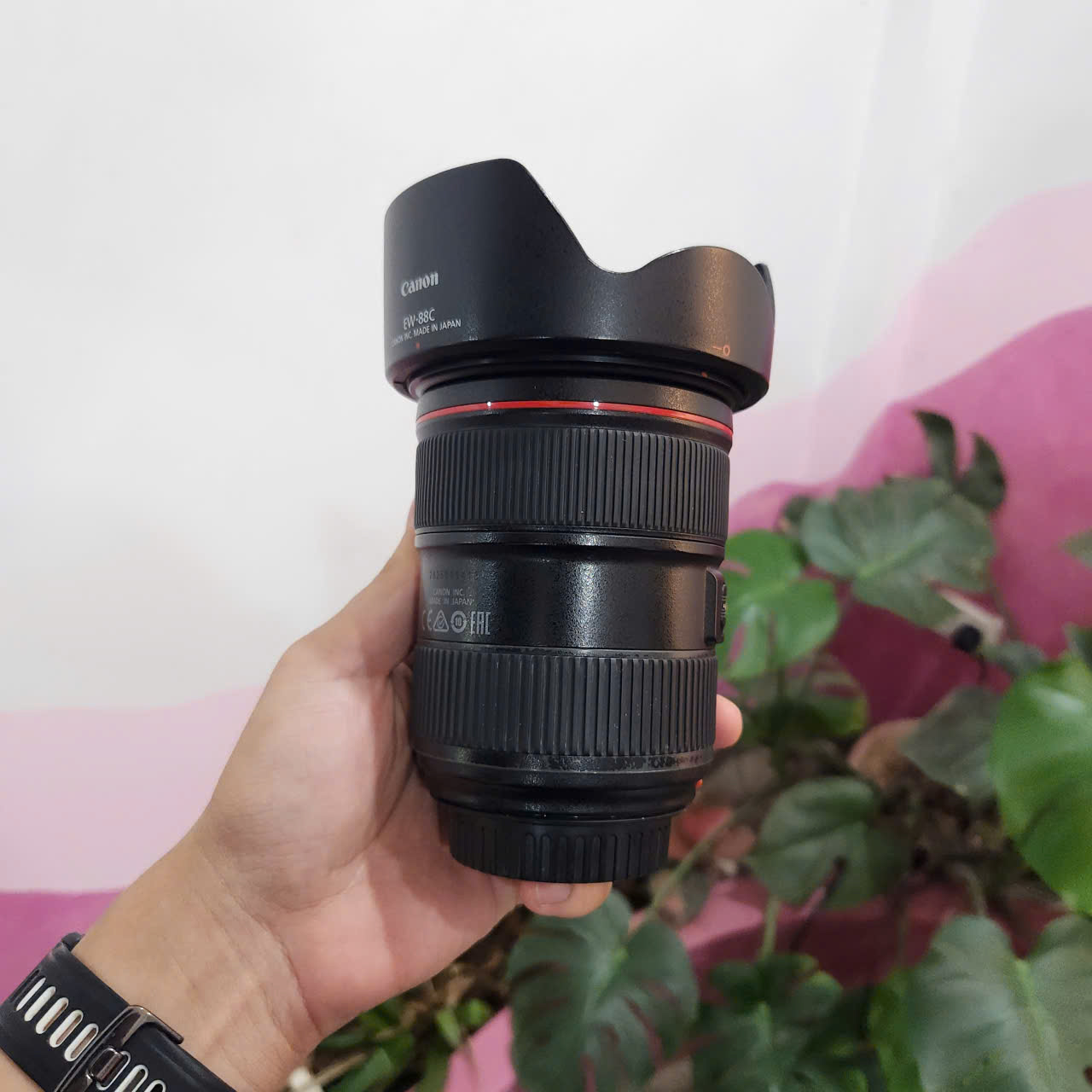 Canon EF 24-70mm f2.8L II USM (Used)