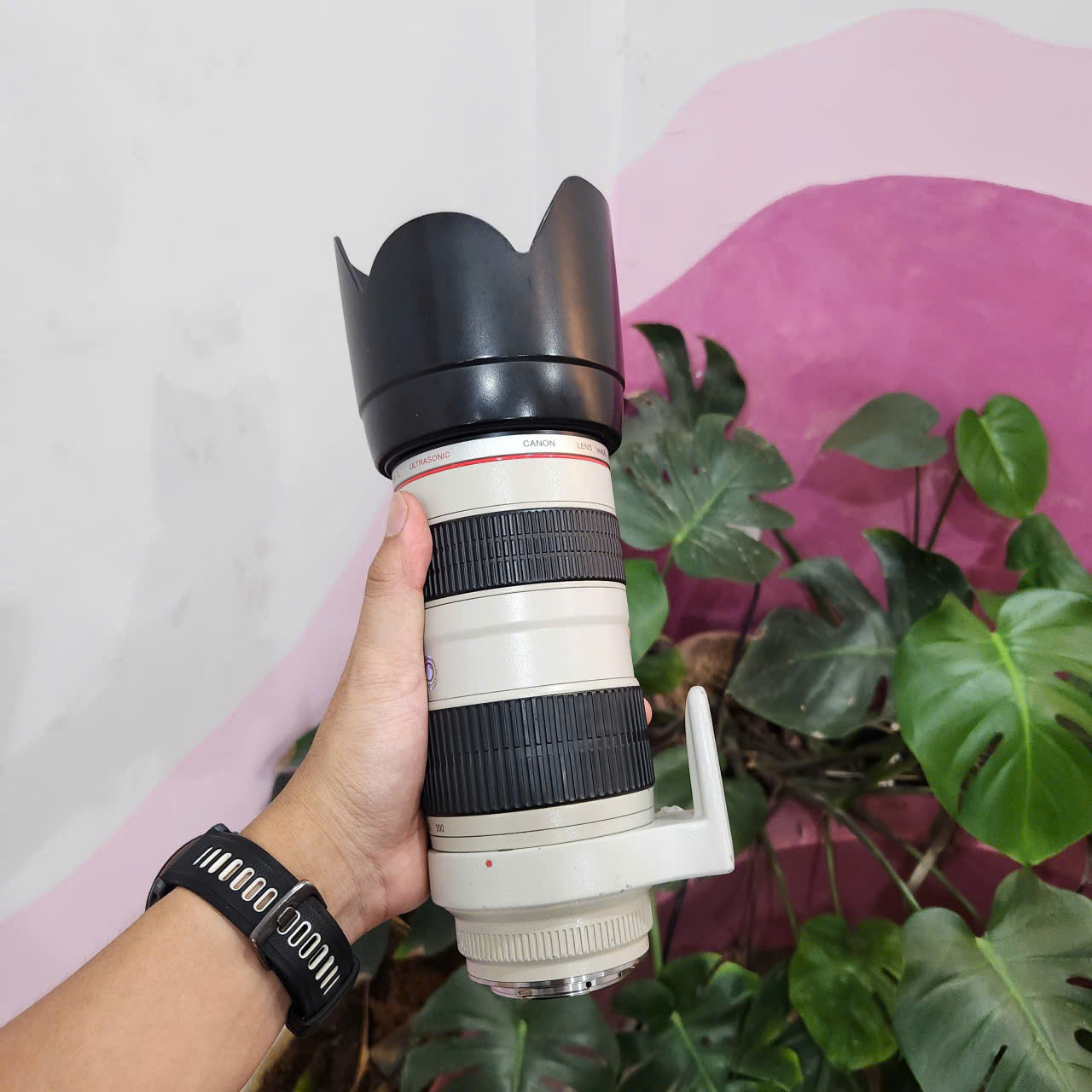 Canon EF 70-200 f2.8 L USM (Used)