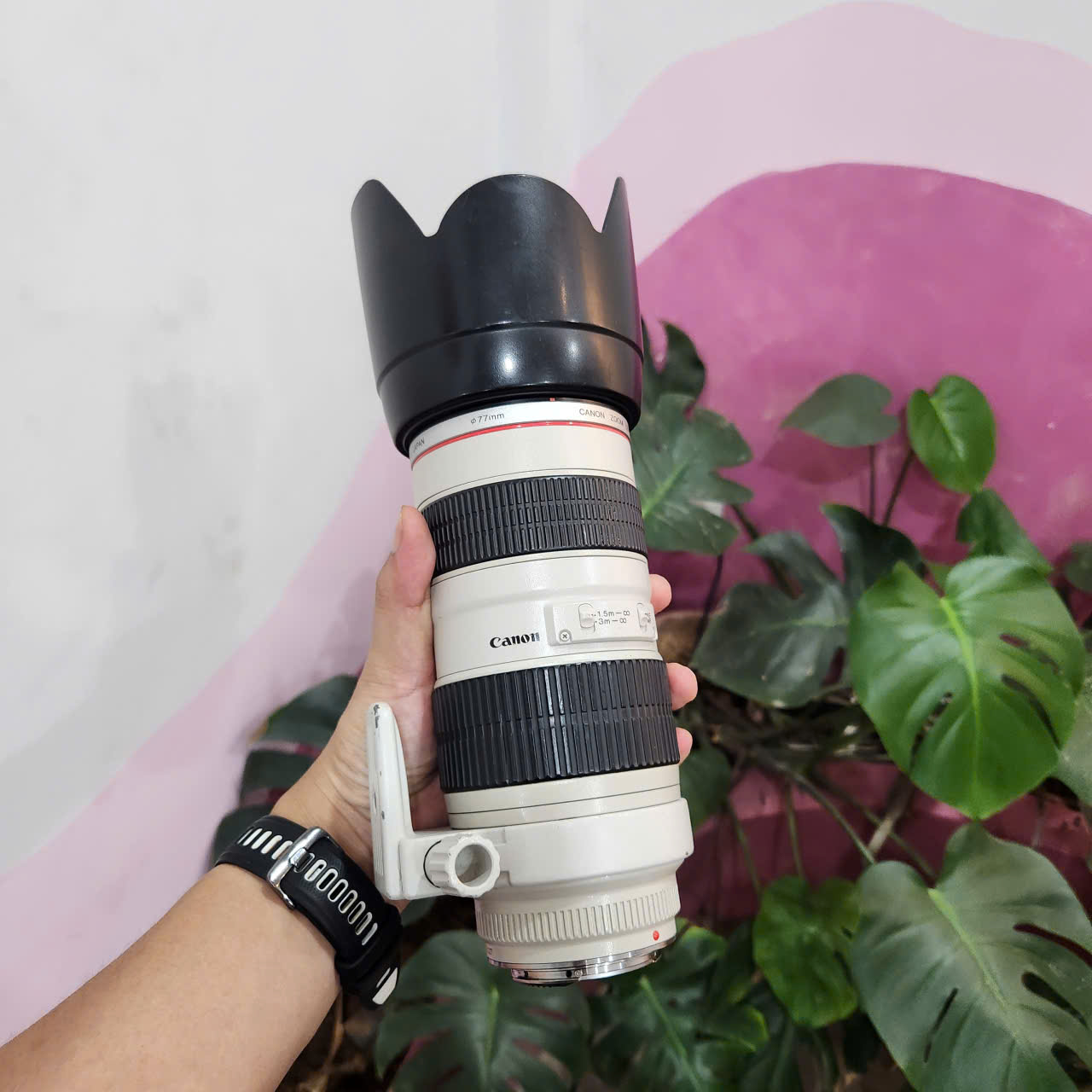 Canon EF 70-200 f2.8 L USM (Used)