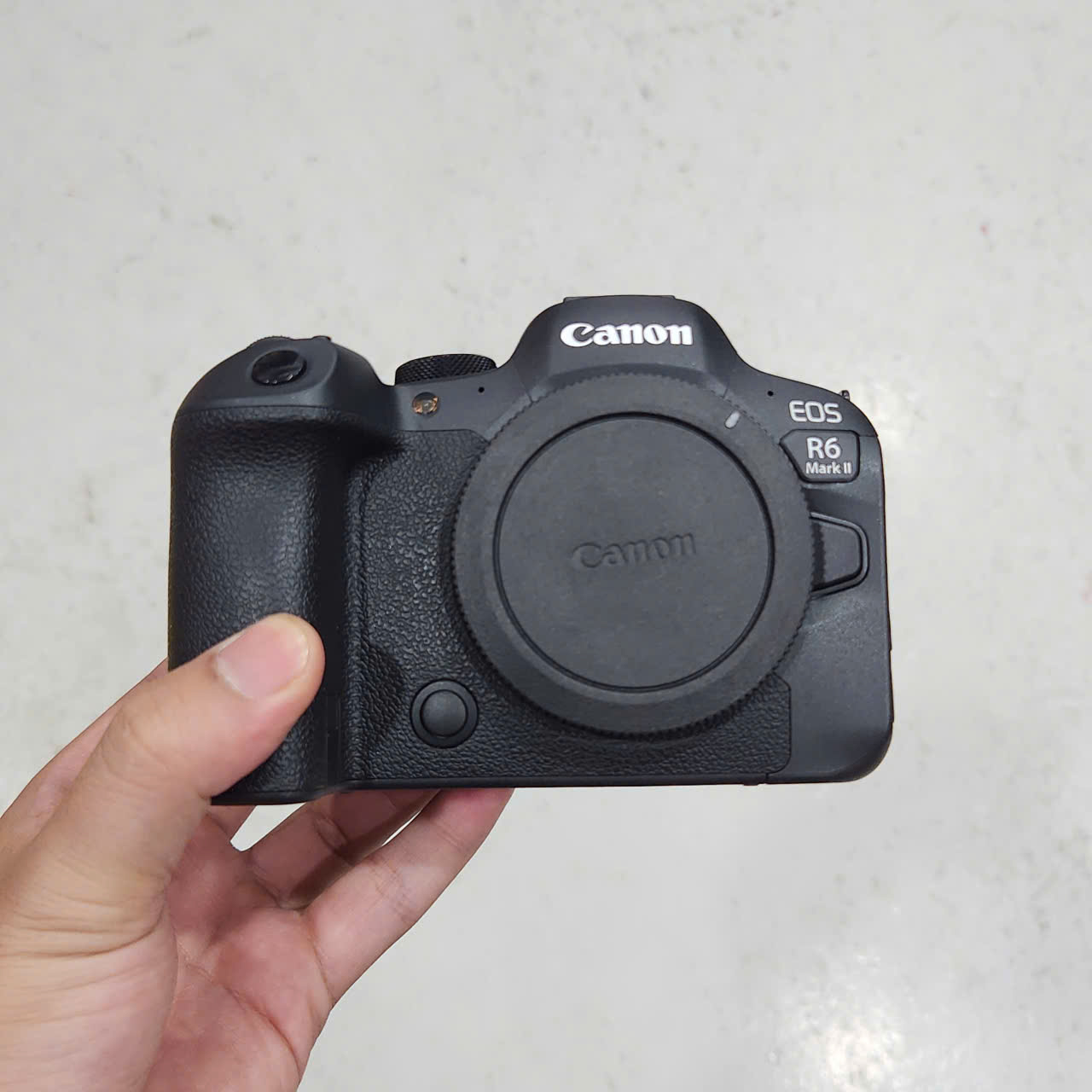 Canon R6 mark II (Body)
