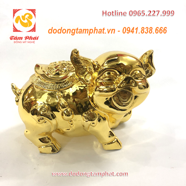 Heo vàng đẹp sang trọng. 