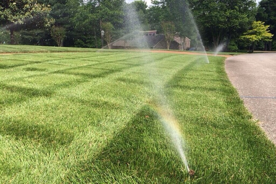 Các loại hệ thống tưới cây tự động