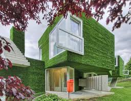 Nhà mát không cần điều hòa trong những ngày oi bức!