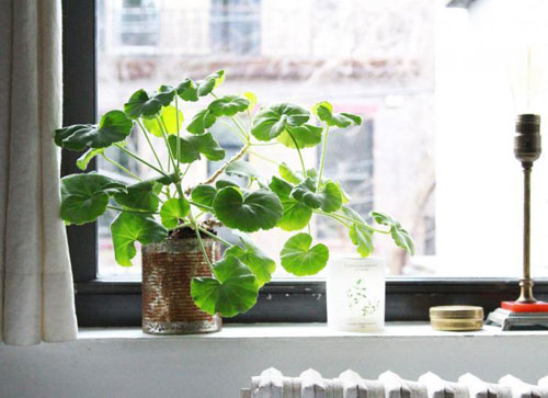 Tự chế nước lau kính sạch mà lại đảm bảo sức khỏe