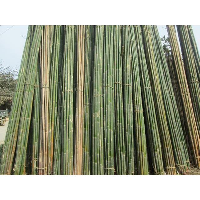 Cung cấp cọc tre | Đóng cọc tre | Báo giá cọc tre | Báo giá nhà dân
