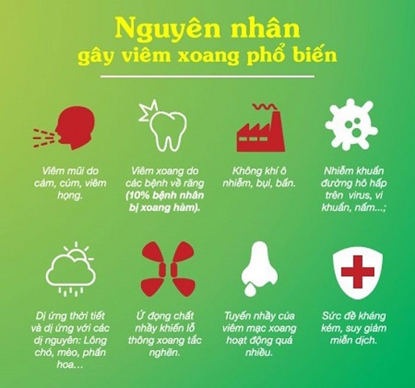 Nguyên nhân gây viêm xoang phổ biến