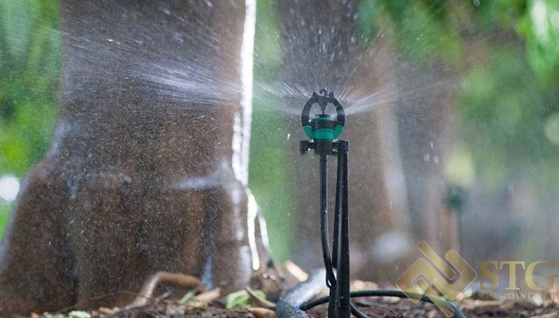 Lắp Đặt Hệ Thống Tưới Với Béc Phun Xoay Tròn