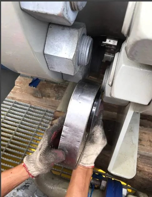 Bolting: Chia Sẻ Kinh Nghiệm và Bài Học Hữu Ích