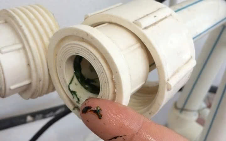 Lý Do Nên Vệ Sinh Đường Ống Nước Thường Xuyên