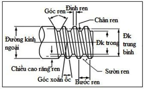 Cấu Trúc Của Ren Và Cách Xác Định Loại Đúng Yêu Cầu
