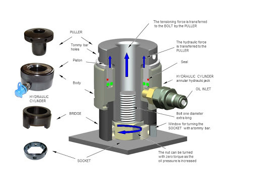 bolting-chia-se-kinh-nghiem-va-bai-hoc-huu-ich-1 Bolting: Chia Sẻ Kinh Nghiệm và Bài Học Hữu Ích