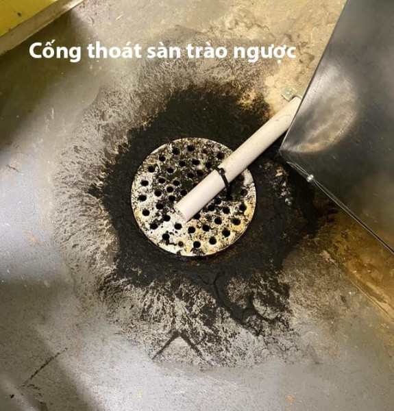 cach-de-khac-phuc-tinh-trang-thoat-san-bi-trao-nguoc-9 Nguyên Nhân Và Cách Xử Lý Thoát Sàn Bị Trào Ngược Hiệu Quả Tại Gia