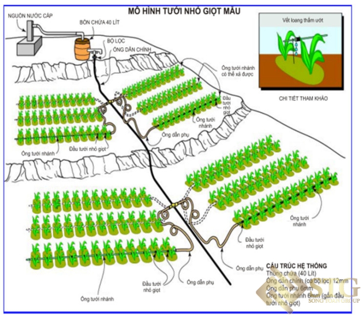 he-thong-tuoi-nho-giot-cho-cay-la-gi-uu-diem-ung-dung-3 Hệ Thống Tưới Nhỏ Giọt Cho Cây Là Gì ? Ưu Điểm, Ứng Dụng