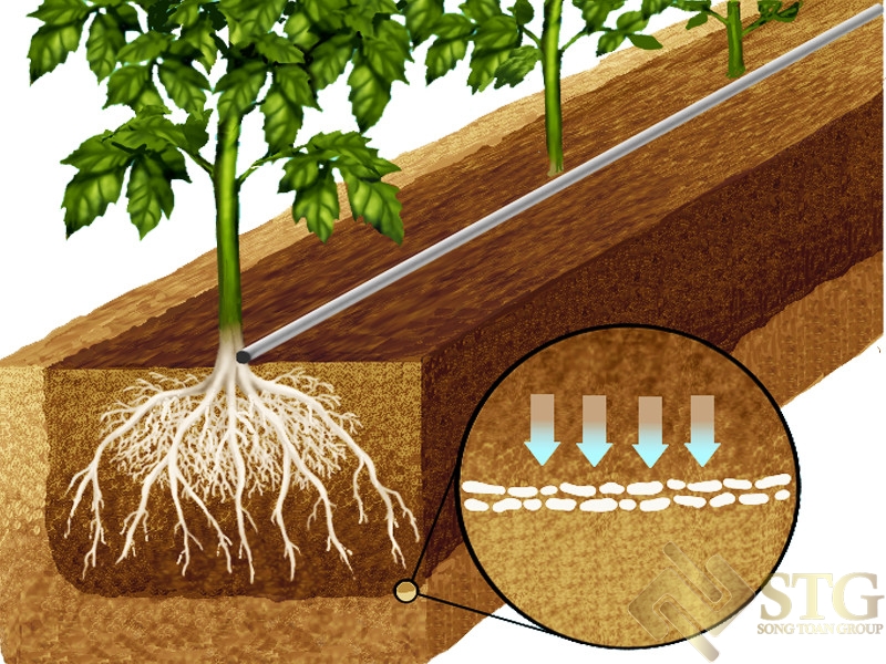 huong-dan-lap-dat-he-thong-tuoi-nho-giot-tai-nha-3 Hướng Dẫn Lắp Đặt Hệ Thống Tưới Nhỏ Giọt Tại Nhà