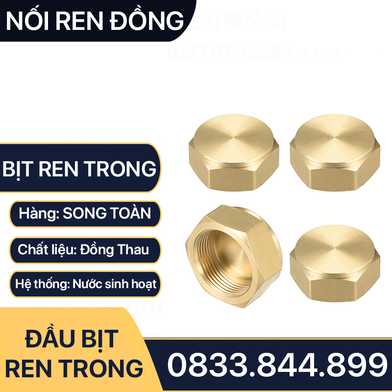 Đầu Bịt Ren Trong, Nút Bịt Ren Đồng Thau 9.6 13 17 21 27 34