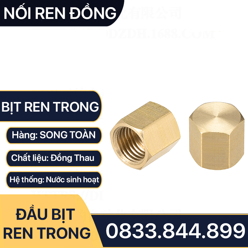 Đầu Bịt Ren Trong, Nút Bịt Ren Đồng Thau 9.6 13 17 21 27 34