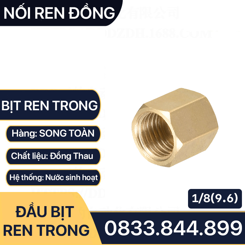 Nút Bịt / Đầu Bít Ren Trong Đồng Thau Ngăn Dòng Chảy - 9.6 13 17 21 27 34 42 49 60