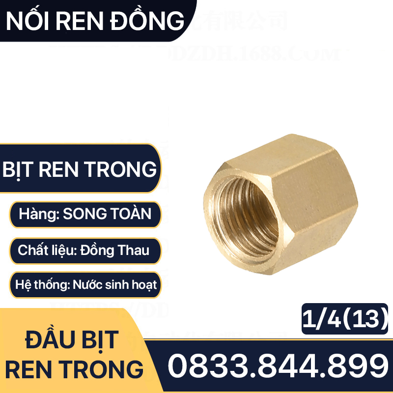 Nút Bịt / Đầu Bít Ren Trong Đồng Thau Ngăn Dòng Chảy - 9.6 13 17 21 27 34 42 49 60