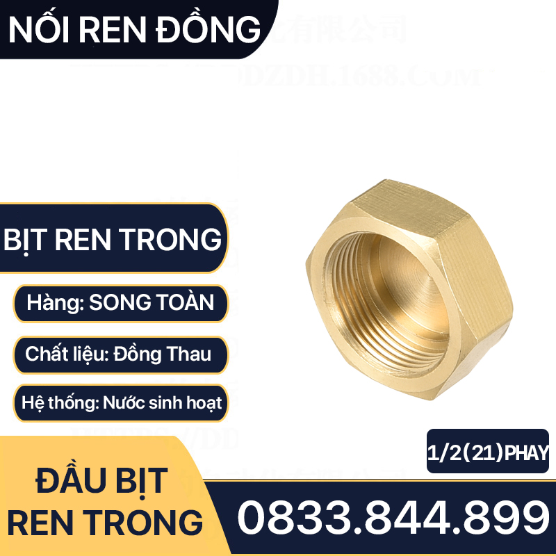 Đầu Bịt Ren Trong, Nút Bịt Ren Đồng Thau 9.6 13 17 21 27 34