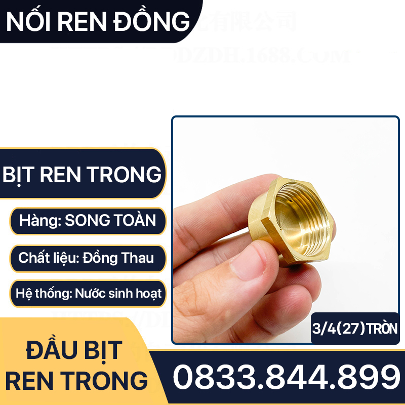Nút Bịt / Đầu Bít Ren Trong Đồng Thau Đúc Dập Nóng - 21 27
