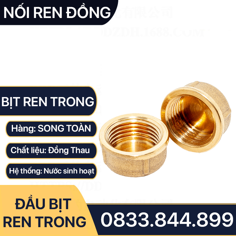 Nút Bịt / Đầu Bít Ren Trong Đồng Thau Đúc Dập Nóng - 21 27