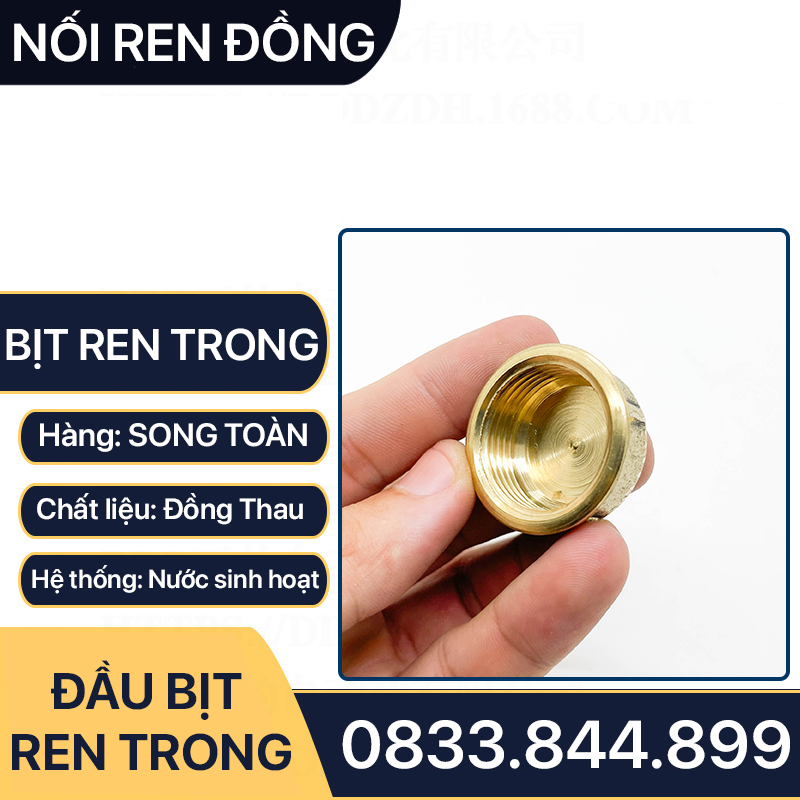 Nút Bịt / Đầu Bít Ren Trong Đồng Thau Đúc Dập Nóng - 21 27