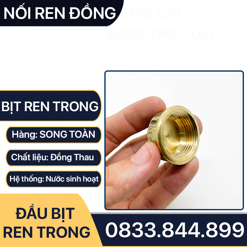 Nút Bịt / Đầu Bít Ren Trong Đồng Thau Đúc Dập Nóng - 21 27