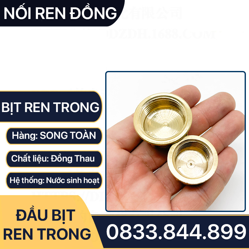 Nút Bịt / Đầu Bít Ren Trong Đồng Thau Đúc Dập Nóng - 21 27