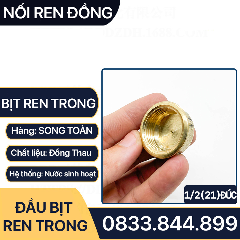 Nút Bịt / Đầu Bít Ren Trong Đồng Thau Đúc Dập Nóng - 21 27