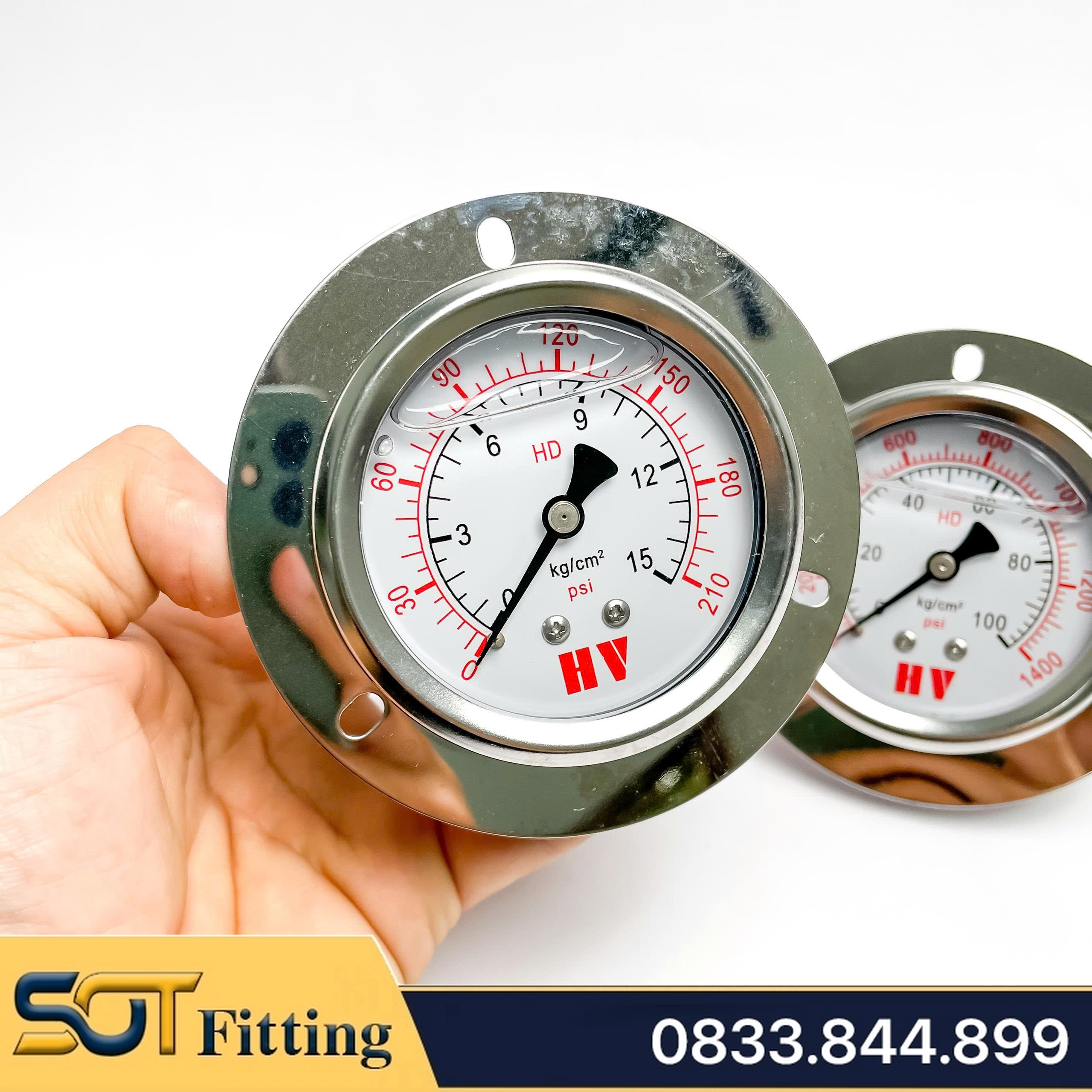 Đồng Hồ Dầu Chân Sau Ren PT 3/8 (17) - Đo Áp Suất Mặt 100mm