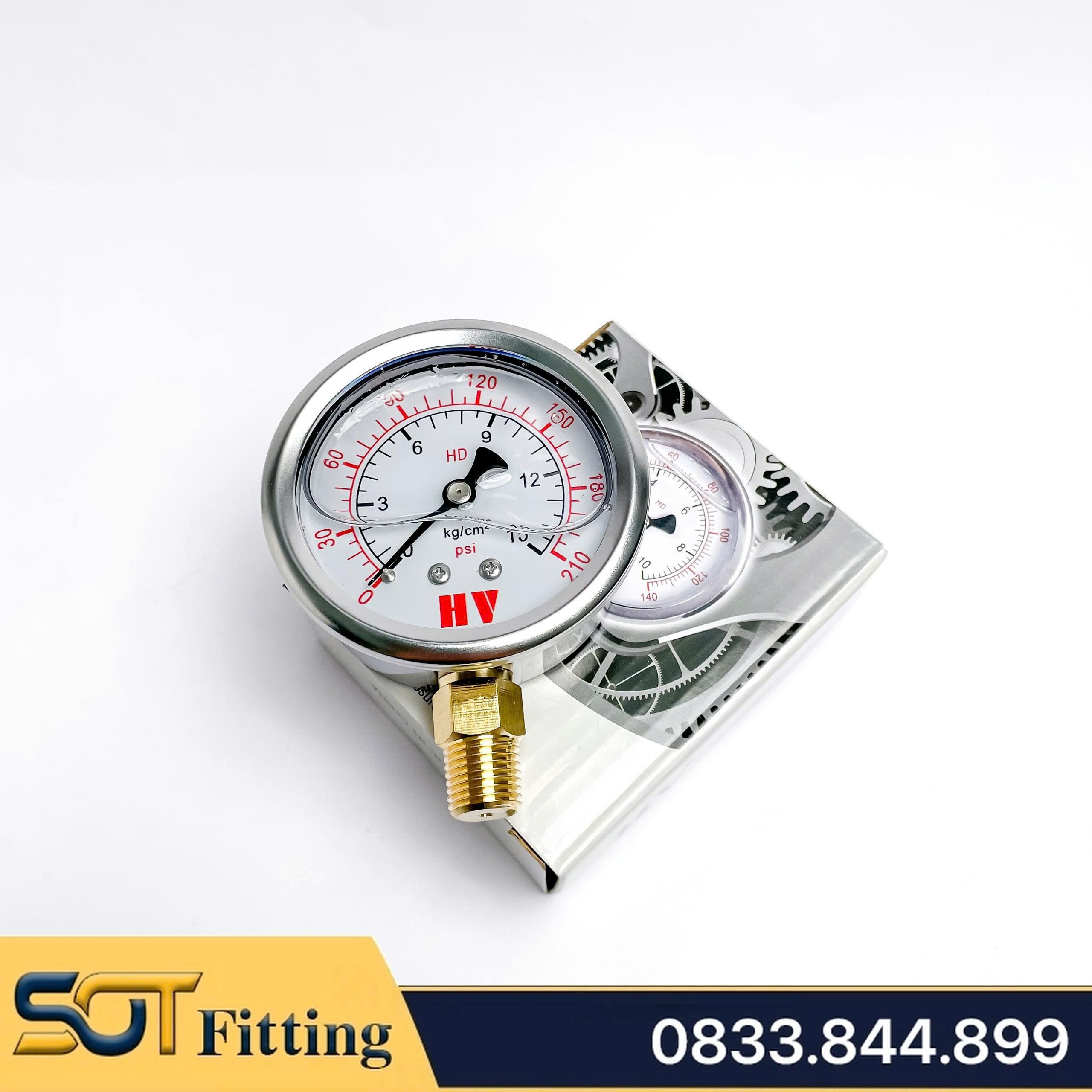 Đồng Hồ Dầu Ren PT 3/8 (17) - Đo Áp Suất Đường Kính Mặt 100mm Chân Đứng