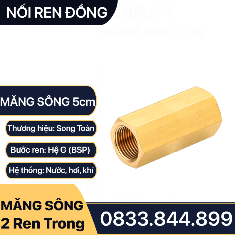 Măng Sông 1/2 (21) Dài 5cm Hai Ren Trong Dân Dụng BSP - Bằng đồng