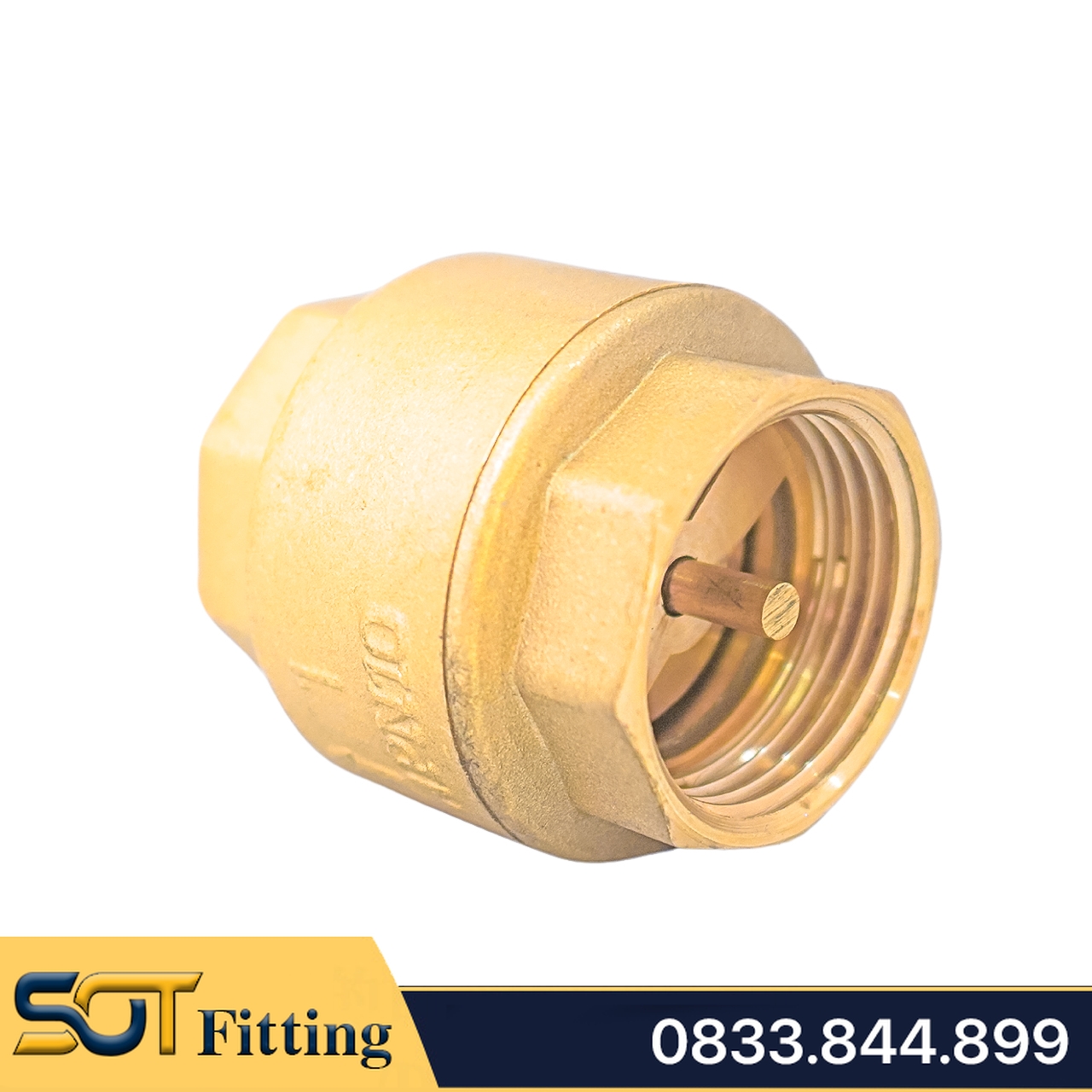 Van 1 Chiều Đồng Lò Xo MBV - Brass Spring Check Valve