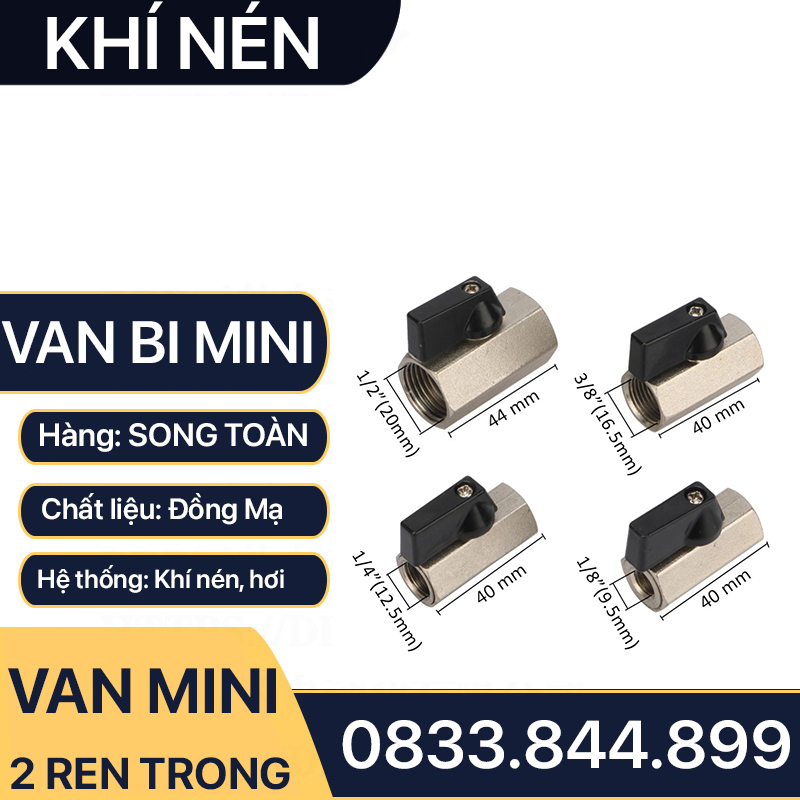 Van Hơi Mini Hai Ren Trong, Van Khí Nén Áp Lực Cao Hai Ren Trong 9.6 13 17 21 - Đồng Mạ