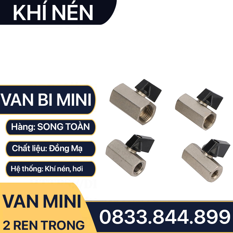 Van Hơi Mini Hai Ren Trong, Van Khí Nén Áp Lực Cao Hai Ren Trong 9.6 13 17 21 - Đồng Mạ