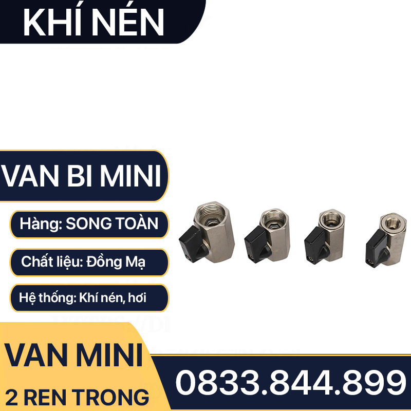 Van Hơi Mini Hai Ren Trong, Van Khí Nén Áp Lực Cao Hai Ren Trong 9.6 13 17 21 - Đồng Mạ