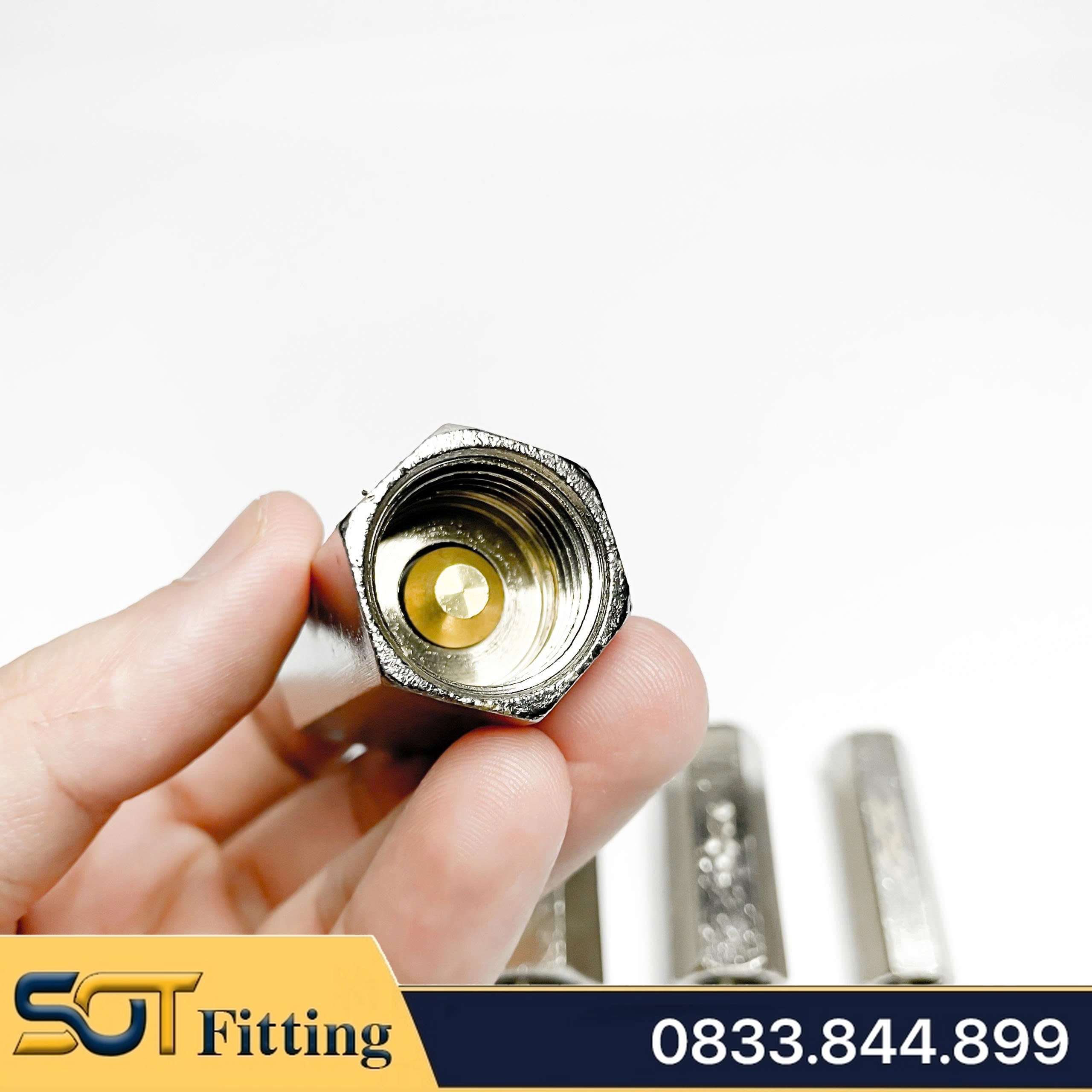 Van Một Chiều Khí Nén, Van Một Chiều Hơi CV Ren Trong 9.6 13 17 21- Đồng Mạ