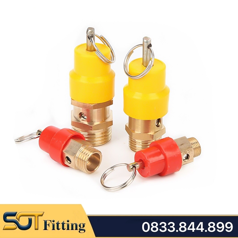 Van Xả Khí & Van An Toàn Đồng Thau Ren 9.6, 13, 17, 21 Súp Bắp Nắp Nhựa