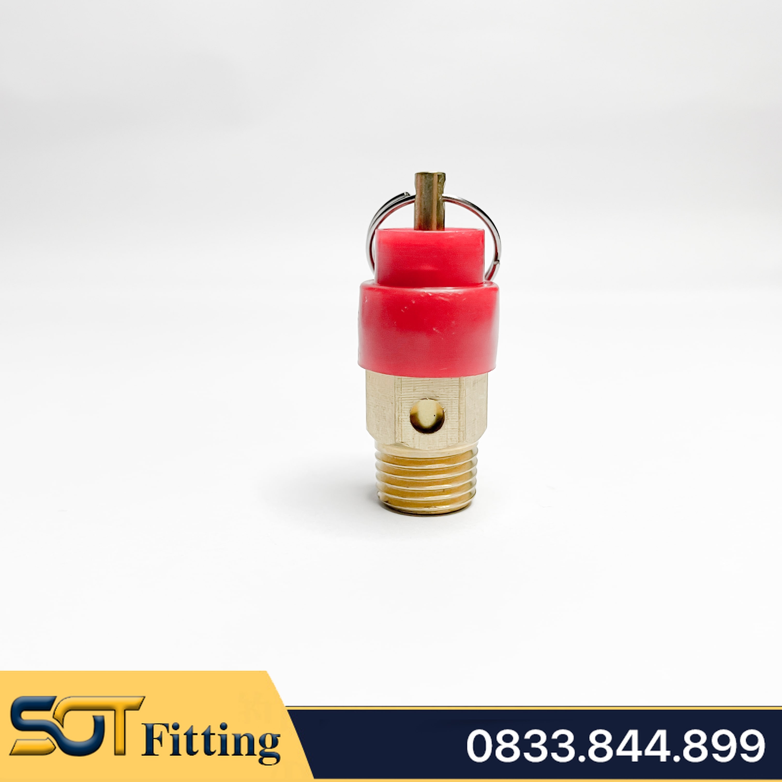 Van Xả Khí & Van An Toàn Đồng Thau Ren 9.6, 13, 17, 21 Súp Bắp Nắp Nhựa