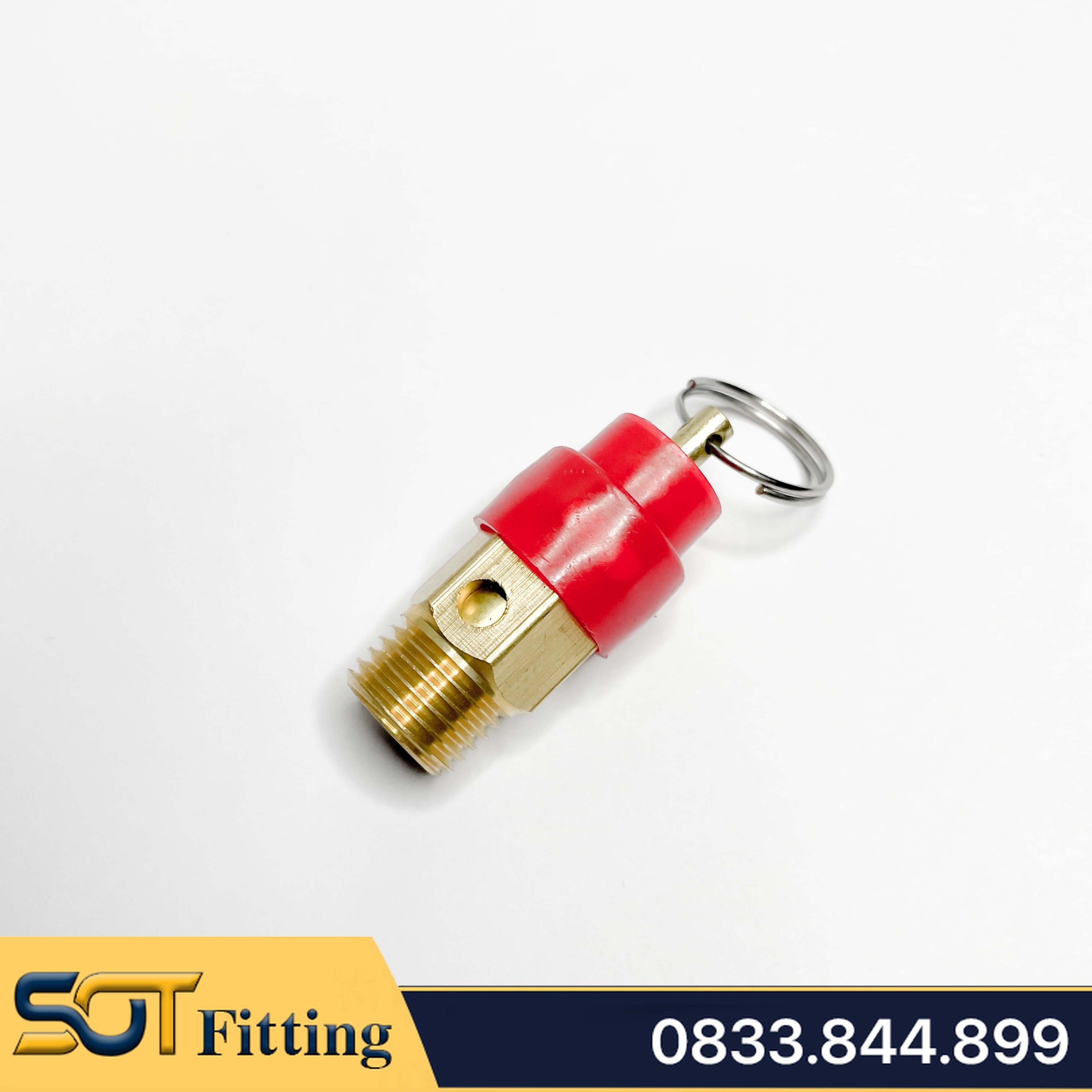 Van Xả Khí & Van An Toàn Đồng Thau Ren 9.6, 13, 17, 21 Súp Bắp Nắp Nhựa