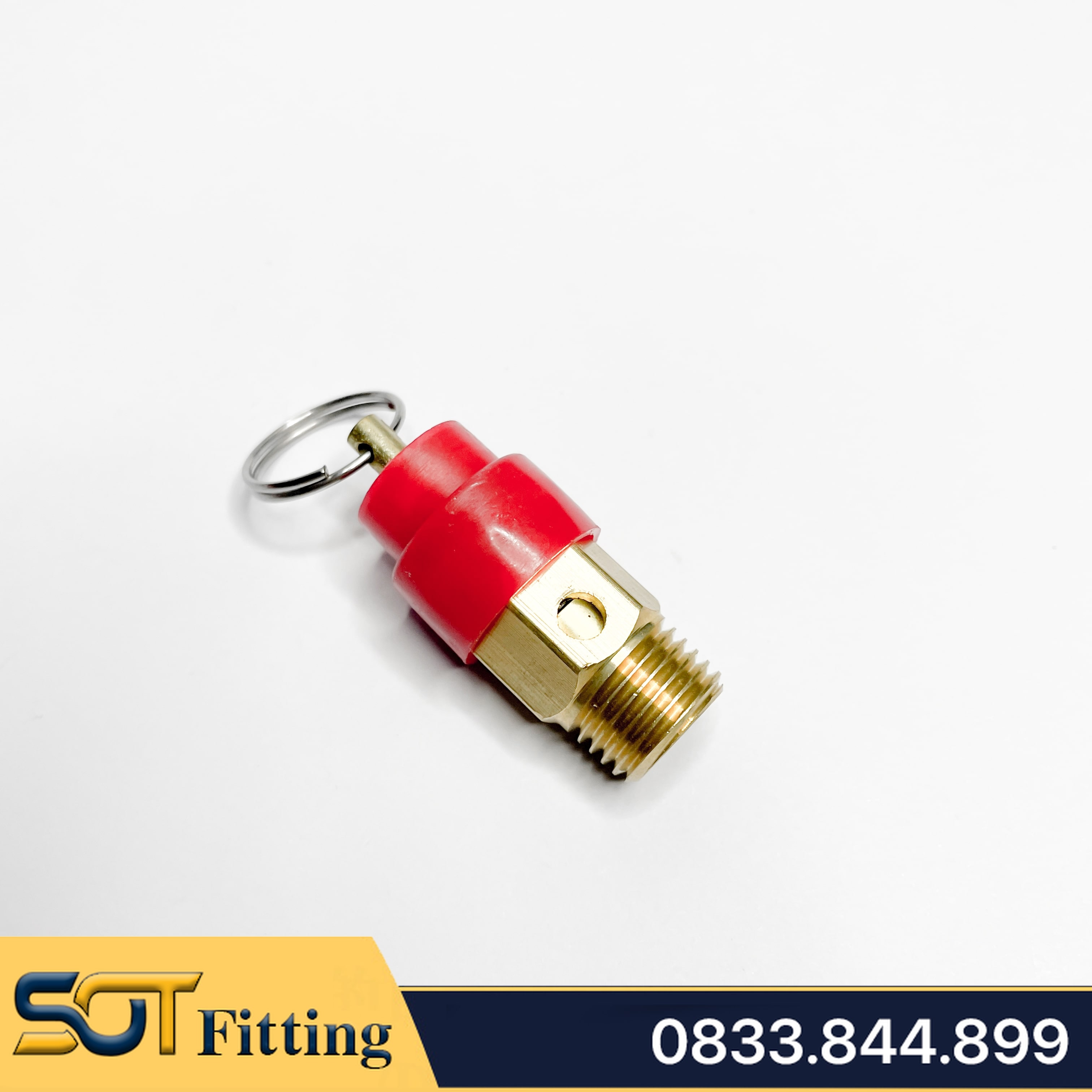 Van Xả Khí & Van An Toàn Đồng Thau Ren 9.6, 13, 17, 21 Súp Bắp Nắp Nhựa