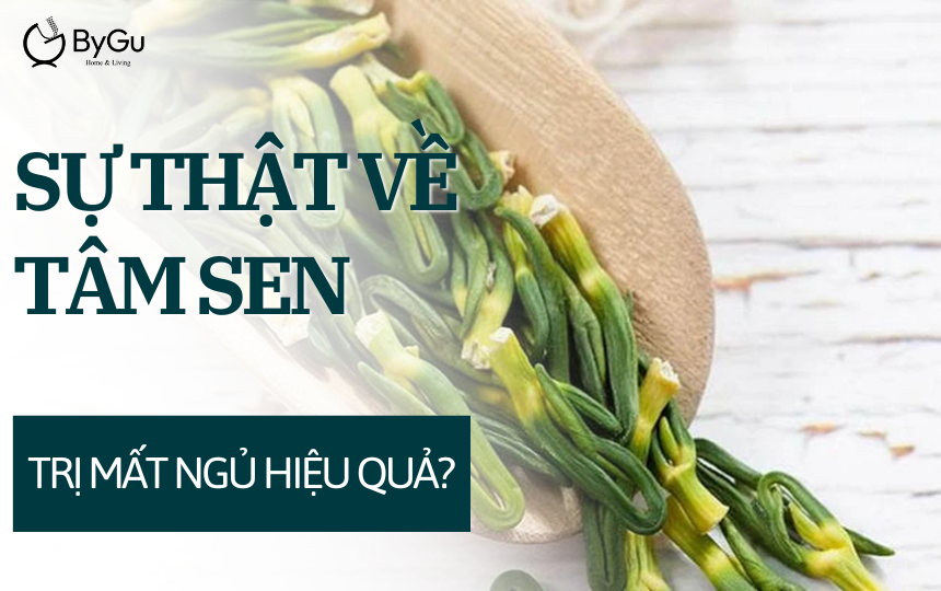 Sự thật về tâm sen: Trị mất ngủ hiệu quả?