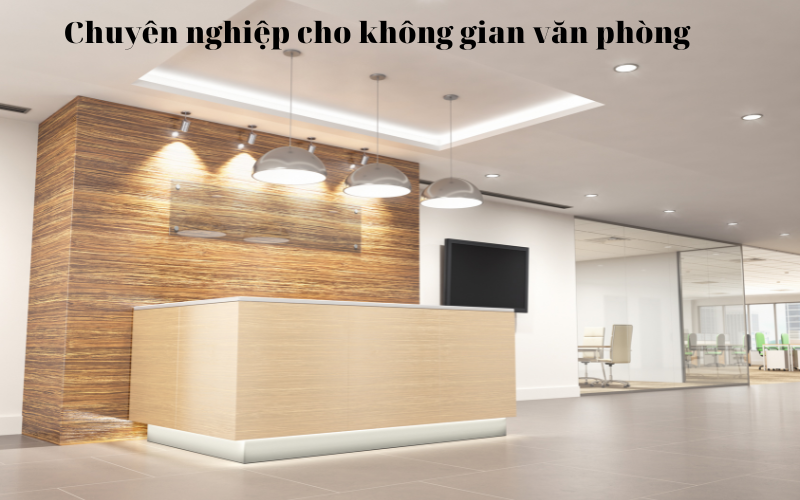 Chuyên nghiệp cho không gian văn phòng